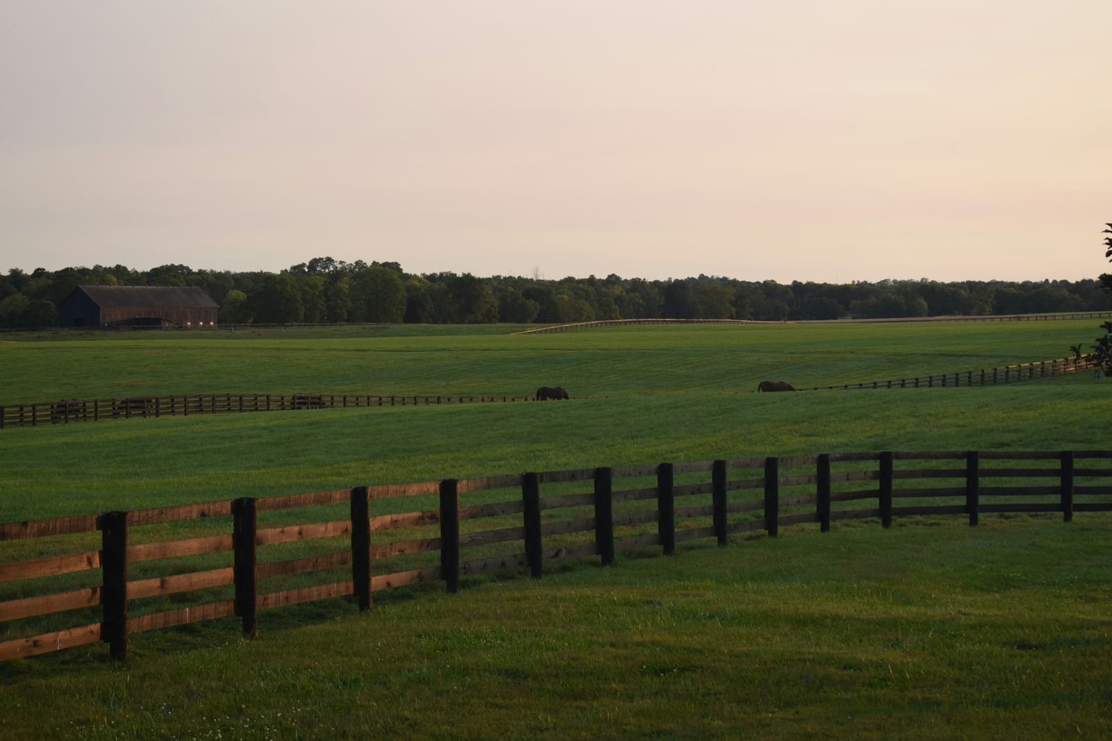 Golden evening light over rolling Kentucky pasture with black plank fencing and a barn in the distance.