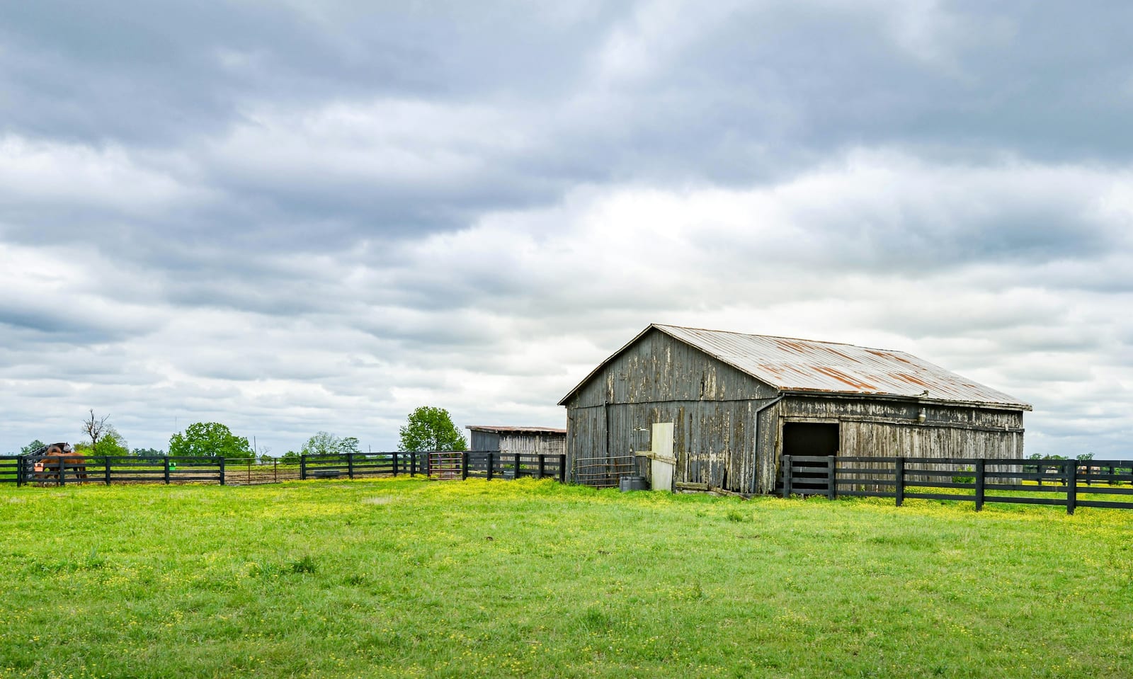 A weathered wood barn with a rusting metal roof beside black plank fencing in a buttercup-dotted field.