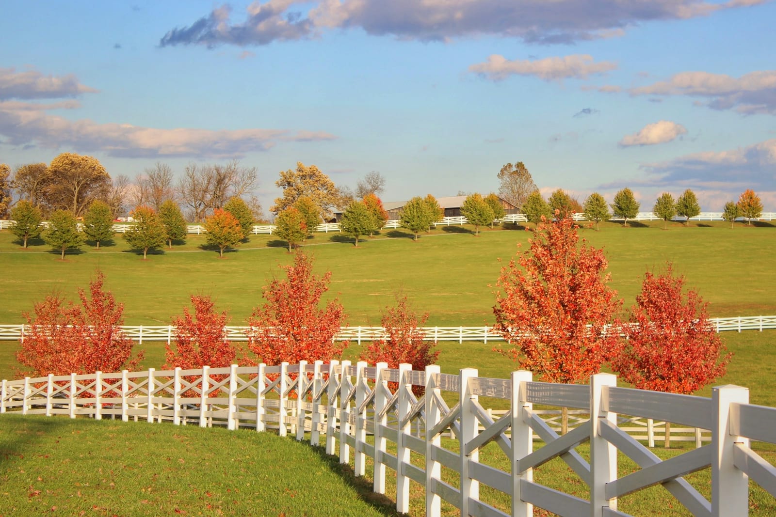 A white four-plank horse-farm fence curving through rolling pasture with autumn-colored trees and a barn on the ridge.